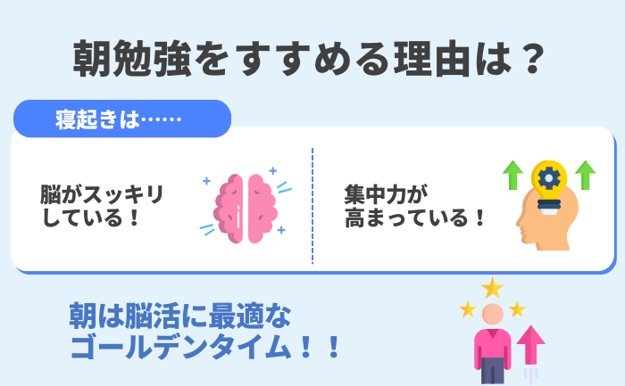 朝勉強をすすめる理由：寝起きの脳がスッキリして集中力が高まる、朝は脳活に最適なゴールデンタイム